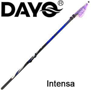 Dayo Intensa
