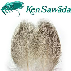 Ken Sawada Mallard Duck Grey Flank Feathers 