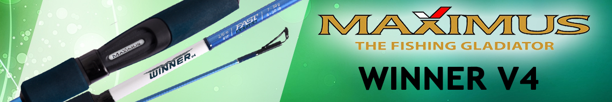Maximus Winner V4