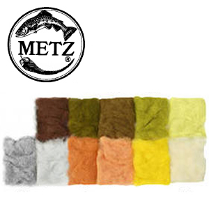 Metz African Goat 