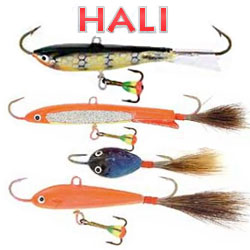 Hali