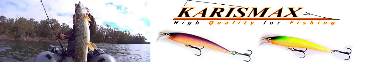 Karismax Kaivanto