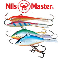 Nils Master
