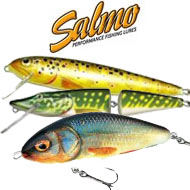 Salmo