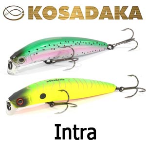 Kosadaka Intra