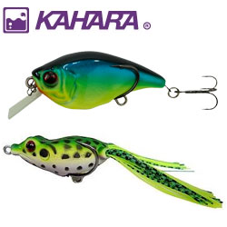 Kahara