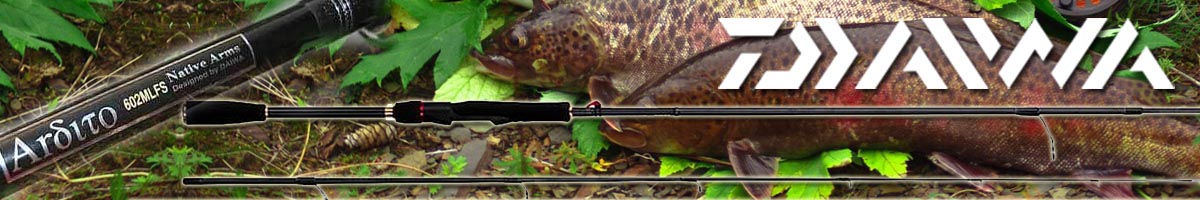Daiwa Ardito