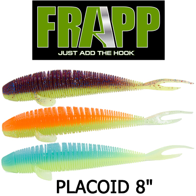 Frapp Placoid 8"
