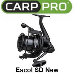 Carp Pro Escol SD New