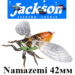 Jackson Namazemi 42мм 4,5гр.