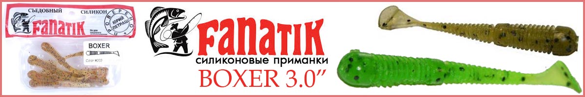 Fanatik Boxer 3.0