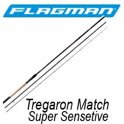 Flagman Tregaron Match