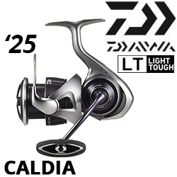 Daiwa 25 Caldia LT