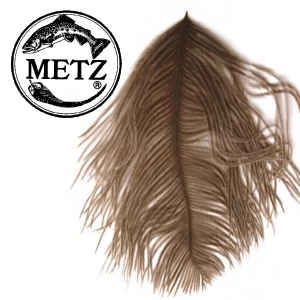 Metz Ostrich