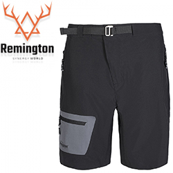 Remington Sunny day
