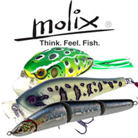 Molix
