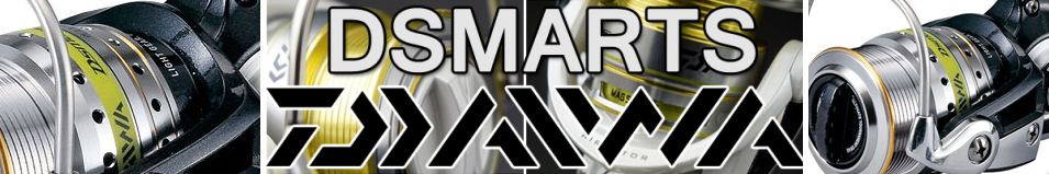 Daiwa 16 D-smarts