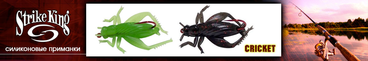 Strike King Cricket