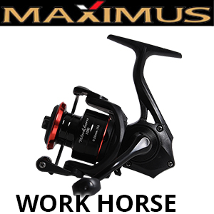 Maximus Work Horse
