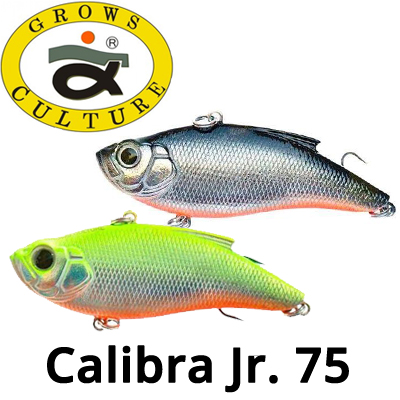 Grows Culture Calibra Jr.