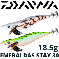 Daiwa Emeraldas Stay R30