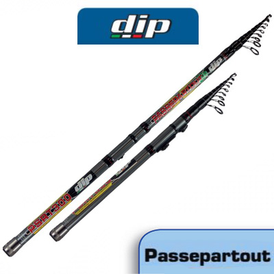 Dip Passepartout