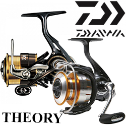 Daiwa Theory