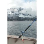 Морское удилище Blue Marlin 1804 - 30-50 LB -180 см, 200- 900 гр, 54 см в сложенном виде 