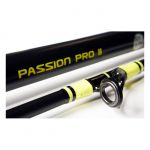 Удилище для ловли сома Black Cat DF Passion Pro II 270 см, 300-600 гр.