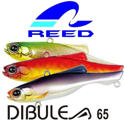 Reed Dibule 65S