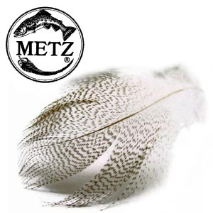 Metz Mallard Flank