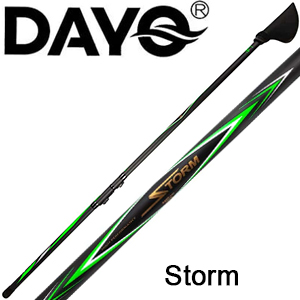 Dayo Storm