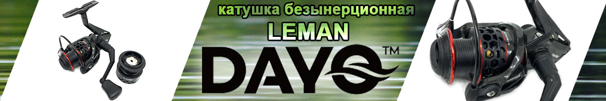 Dayo Leman
