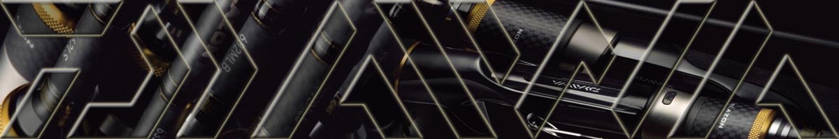 Daiwa Blazon