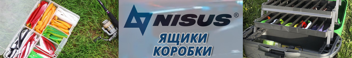Nisus