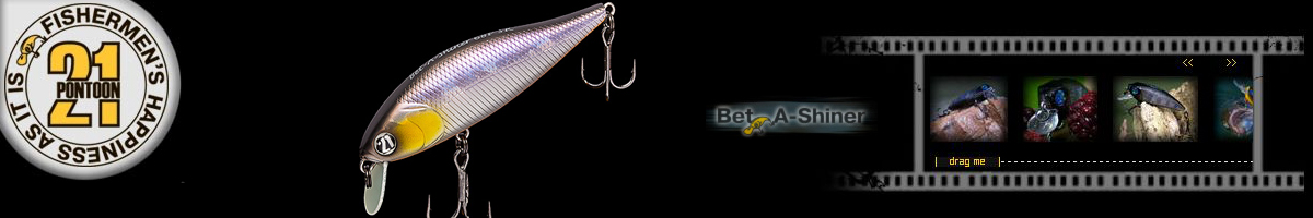 Pontoon21 Bet-A-Shiner 82F-SR 