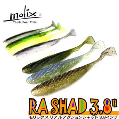 Molix RA Shad 3.8"