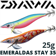 Daiwa Emeraldas Stay 35