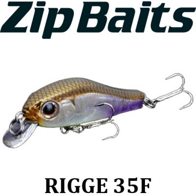 ZipBaits Rigge 35F
