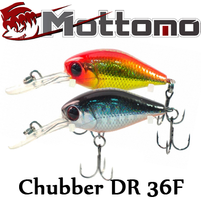 Mottomo Chubber DR 36F