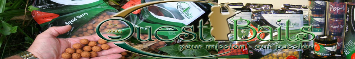 Quest Baits Бойли тонущие 10mm 450g 