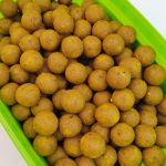 Бойлы варёные прикормочные Fishing band Sweet Corn 20 мм 2 кг
