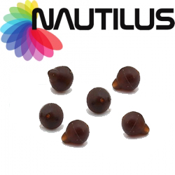 Nautilus Tear Drop Helicopter Soft Beads