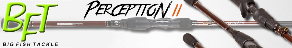 BFT Perception II