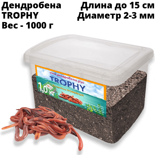 Червь Дендробена TROPHY 1000 г