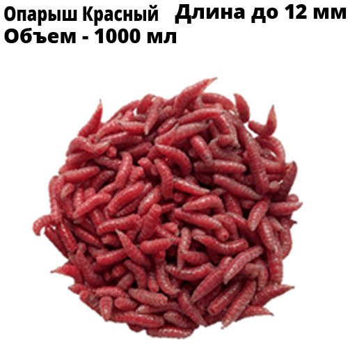 Опарыш Красный Средний 1000 мл