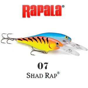 Rapala Shad Rap SR07