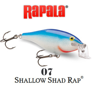 Rapala Shallow Shad Rap SSR07