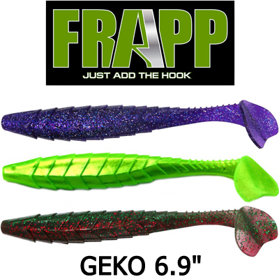 Frapp Geko 6,9"