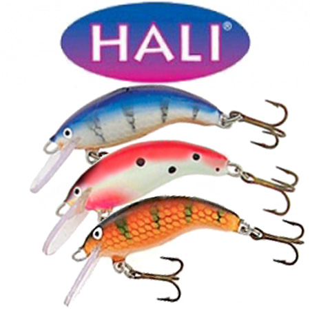Hali